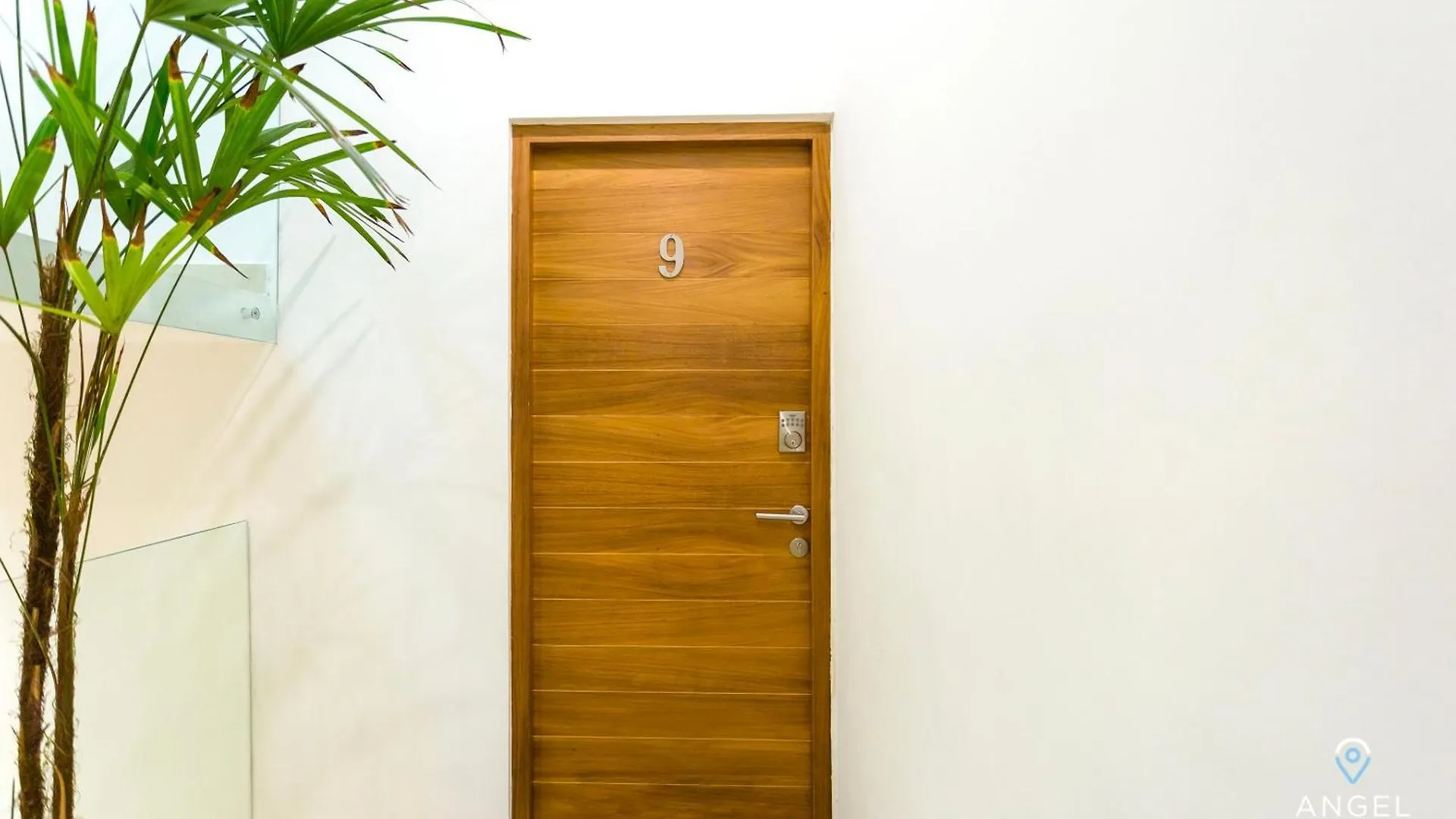 Tranquil Oceanview Studio Rooftop Pool Gym W&D Playa del Carmen Apartment